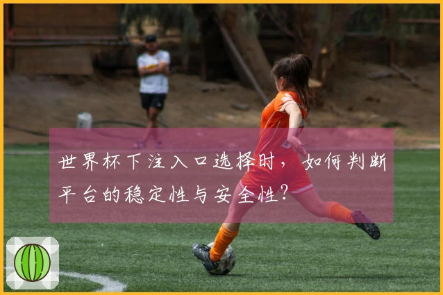 世界杯下注入口选择时，如何判断平台的稳定性与安全性？