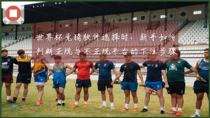 世界杯竞猜软件选择时，新手如何判断正规与不正规平台的下注步骤？