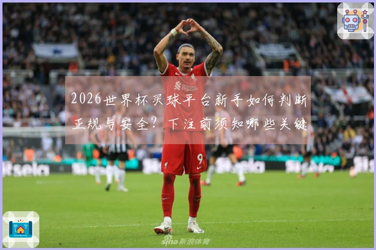 2026世界杯买球平台新手如何判断正规与安全？下注前须知哪些关键点？