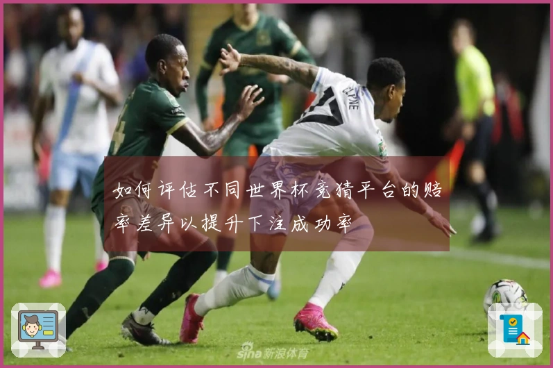 如何评估不同世界杯竞猜平台的赔率差异以提升下注成功率
