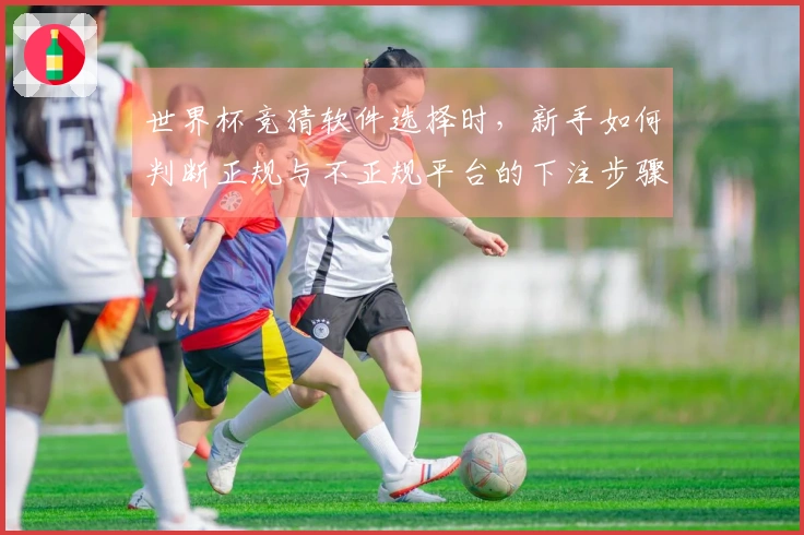 世界杯竞猜软件选择时，新手如何判断正规与不正规平台的下注步骤？